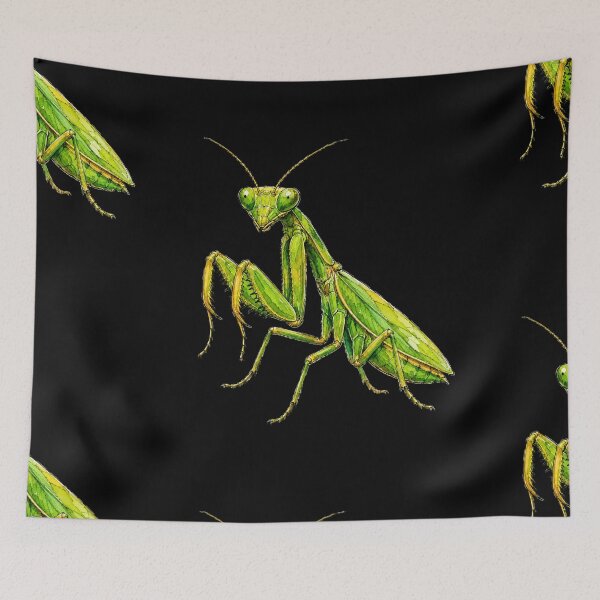 Item preview, Minimal Praying Mantis Watercolor | Hand Drawn Nature Illustration designed and sold by ColorSplash123.