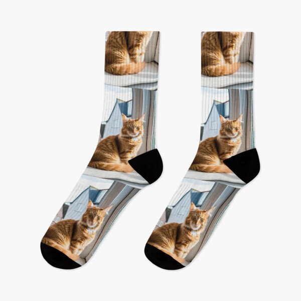 Item preview, Animals - Serene Domestic Cat, Cozy Portrait at Rest designed and sold by World-Pets.