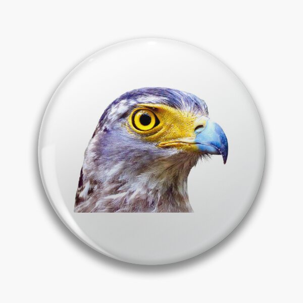 Item preview, Crested Serpent Eagle for Stickers designed and sold by Ianthe-Safari.