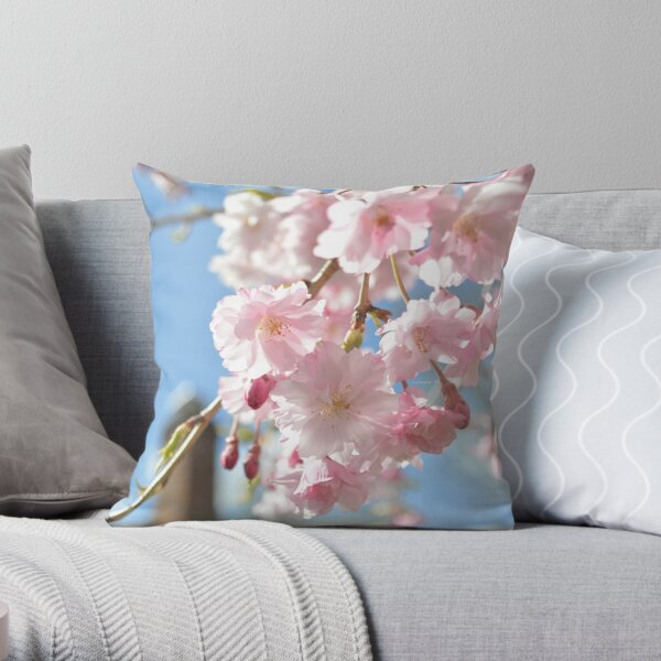 https://ih1.redbubble.net/image.618602337.0031/throwpillow,small,600x-bg,f8f8f8-c,0,120,600,600.jpg