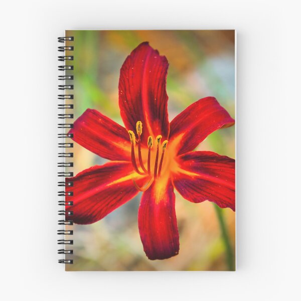 Item preview, Lily designed and sold by JEZ22.