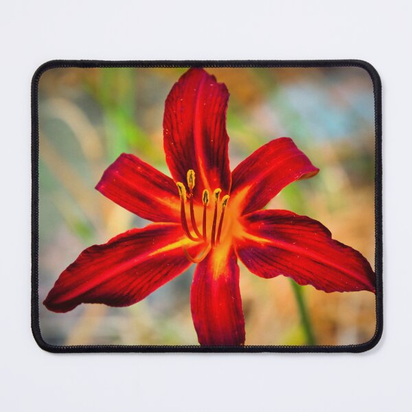Item preview, Lily designed and sold by JEZ22.