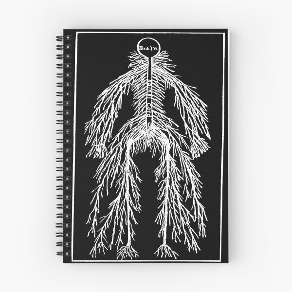 Item preview, Brain and Nervous System / Anatomical Architecture designed and sold by weirdove.