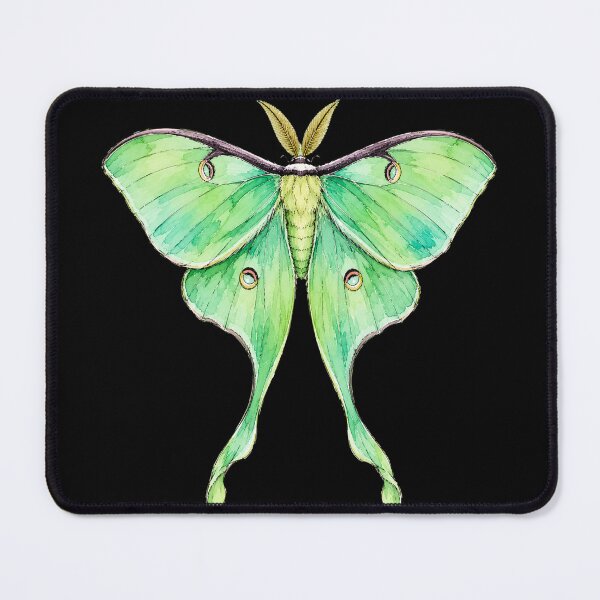Item preview, Minimal Luna Moth Watercolor | Hand Drawn Nature Illustration designed and sold by ColorSplash123.