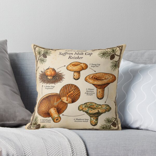 Item preview, Saffron Milk Cap Lactarius Deliciosus Life Cycle Illustration designed and sold by IdeaSmith.