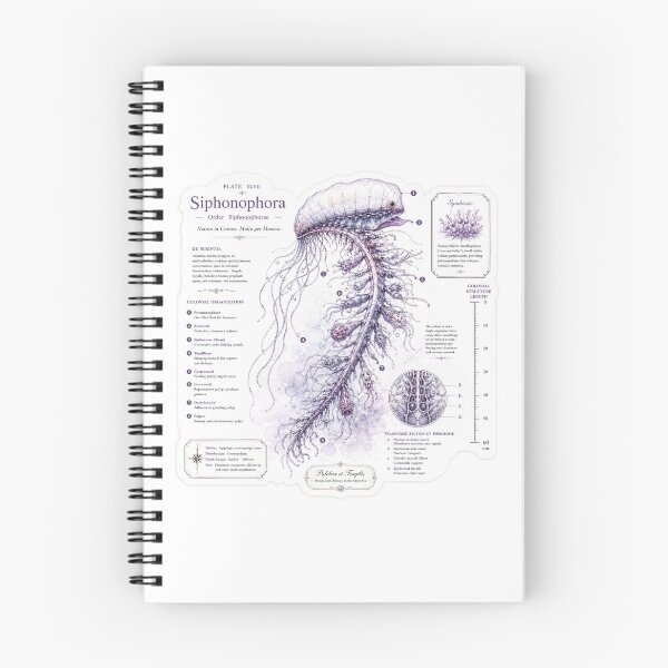 Item preview, Cute Vintage Siphonophore Jellyfish Sticker - Scientific Ocean Plate designed and sold by PND7777.