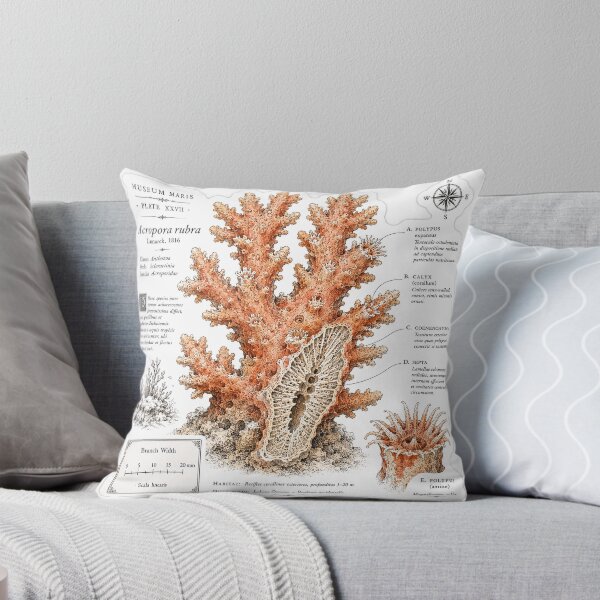 Item preview, Cute Vintage Coral Reef Sticker - Scientific Ocean Plate designed and sold by PND7777.