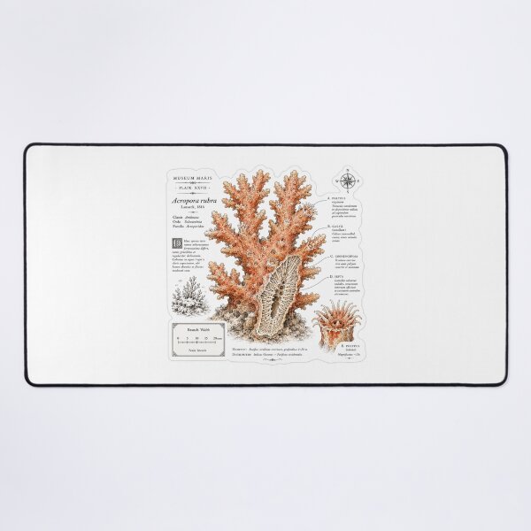 Item preview, Cute Vintage Coral Reef Sticker - Scientific Ocean Plate designed and sold by PND7777.