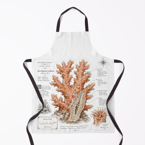 Item preview, Cute Vintage Coral Reef Sticker - Scientific Ocean Plate designed and sold by PND7777.