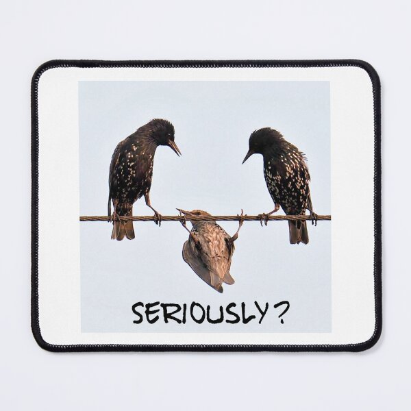 Item preview, Bird (almost) on a wite designed and sold by jonfun1.