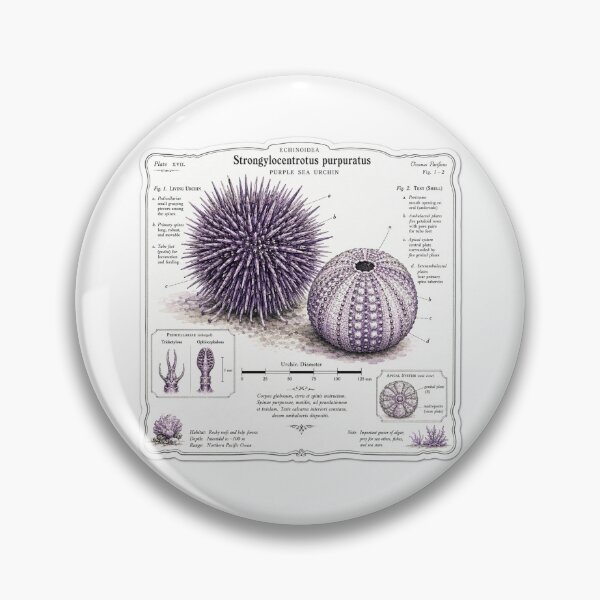 Item preview, Cute Vintage Purple Sea Urchin Sticker - Scientific Ocean Plate designed and sold by PND7777.