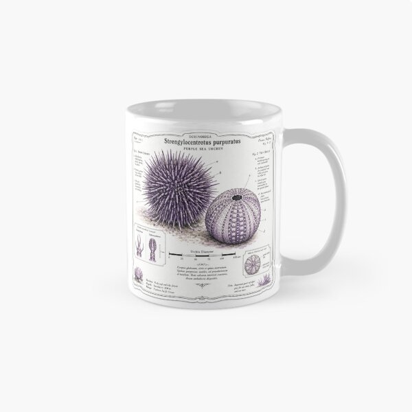 Item preview, Cute Vintage Purple Sea Urchin Sticker - Scientific Ocean Plate designed and sold by PND7777.