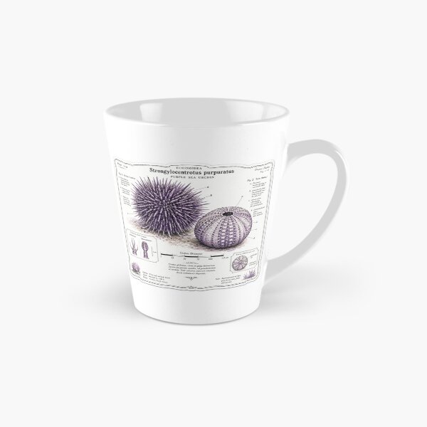 Item preview, Cute Vintage Purple Sea Urchin Sticker - Scientific Ocean Plate designed and sold by PND7777.