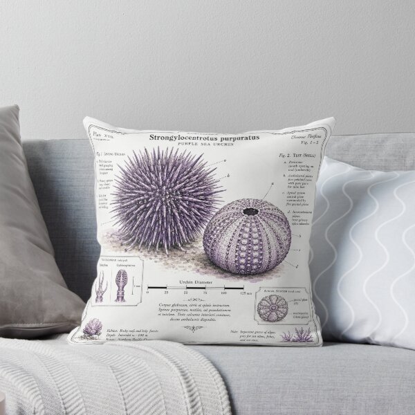 Item preview, Cute Vintage Purple Sea Urchin Sticker - Scientific Ocean Plate designed and sold by PND7777.