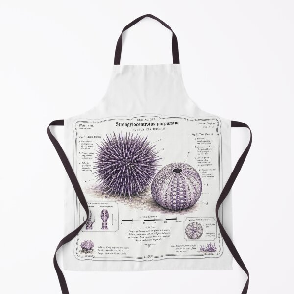 Item preview, Cute Vintage Purple Sea Urchin Sticker - Scientific Ocean Plate designed and sold by PND7777.