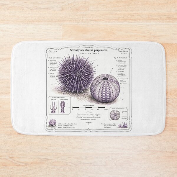 Item preview, Cute Vintage Purple Sea Urchin Sticker - Scientific Ocean Plate designed and sold by PND7777.