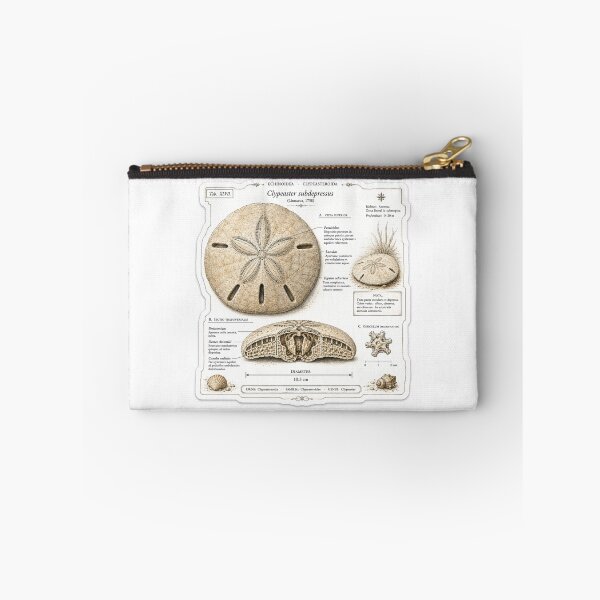 Item preview, Cute Vintage Sand Dollar Sticker - Scientific Beach Plate designed and sold by PND7777.