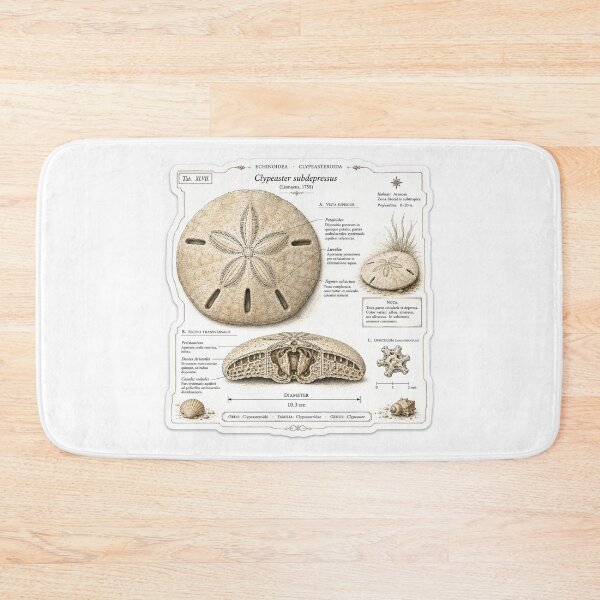 Item preview, Cute Vintage Sand Dollar Sticker - Scientific Beach Plate designed and sold by PND7777.