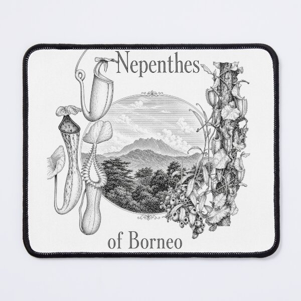 Item preview, Nepenthes of Borneo designed and sold by Rurisk.