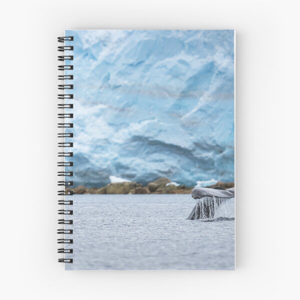 Item preview, Whale Tail in Antarctic Waters designed and sold by PhotoArt by Joan Carroll.