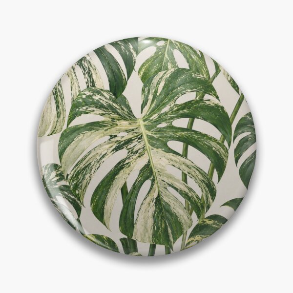 Item preview, Tropical Monstera Leaf Pattern designed and sold by Mikena1996.