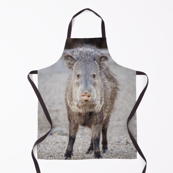 Item preview, Javelina Staring Contest Arizona designed and sold by PhotoArt by Joan Carroll.