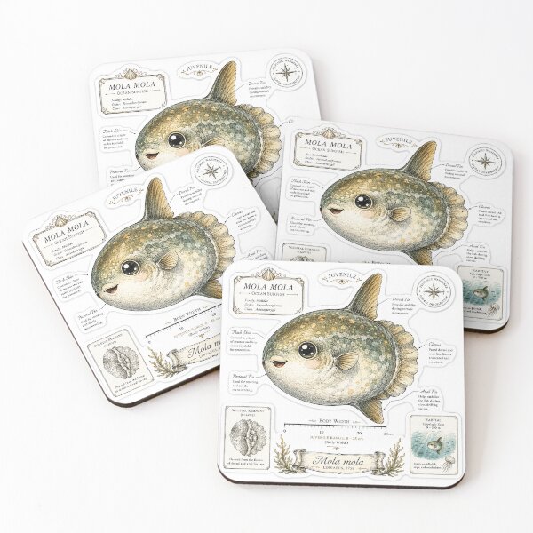 Item preview, Cute Vintage Ocean Sunfish Sticker - Mola Mola Scientific Plate designed and sold by PND7777.