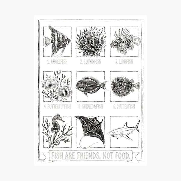 Item preview, Fish Are Friends Not Food – Vintage Marine Life Chalk Sketch designed and sold by Cuatcho.