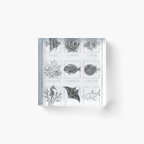 Item preview, Fish Are Friends Not Food – Vintage Marine Life Chalk Sketch designed and sold by Cuatcho.