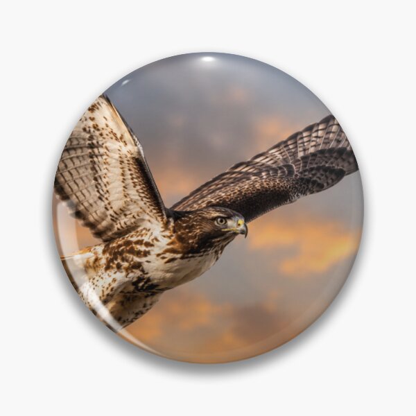 Item preview, Sunset Takeoff – Red-tailed Hawk in Flight designed and sold by Kimberly Palmer.