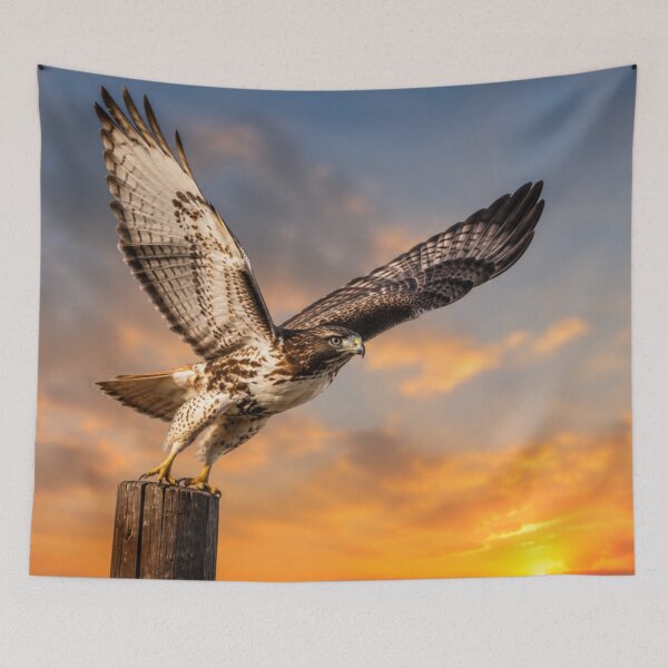 Item preview, Sunset Takeoff – Red-tailed Hawk in Flight designed and sold by Kimberly Palmer.