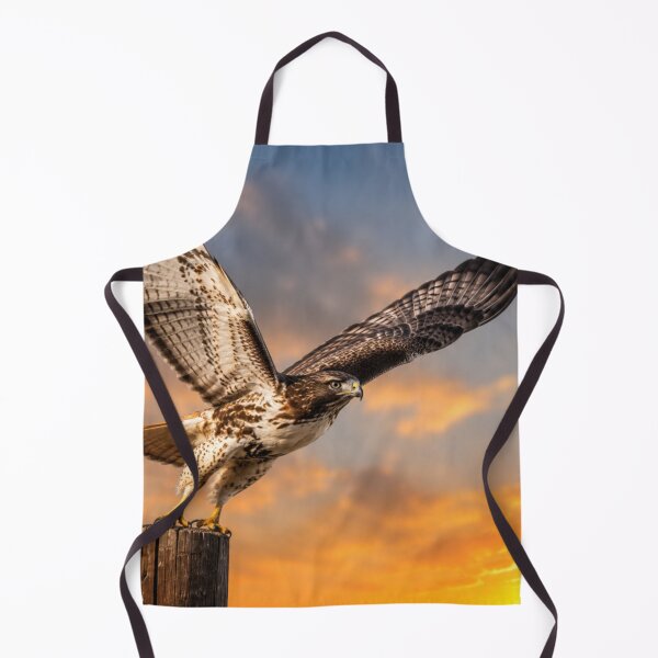 Item preview, Sunset Takeoff – Red-tailed Hawk in Flight designed and sold by Kimberly Palmer.