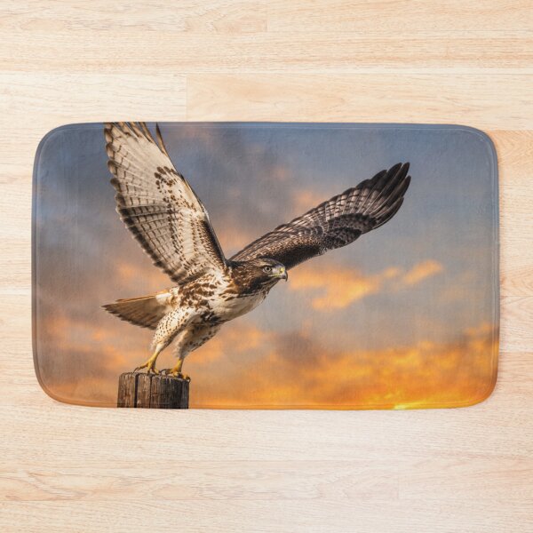 Item preview, Sunset Takeoff – Red-tailed Hawk in Flight designed and sold by Kimberly Palmer.