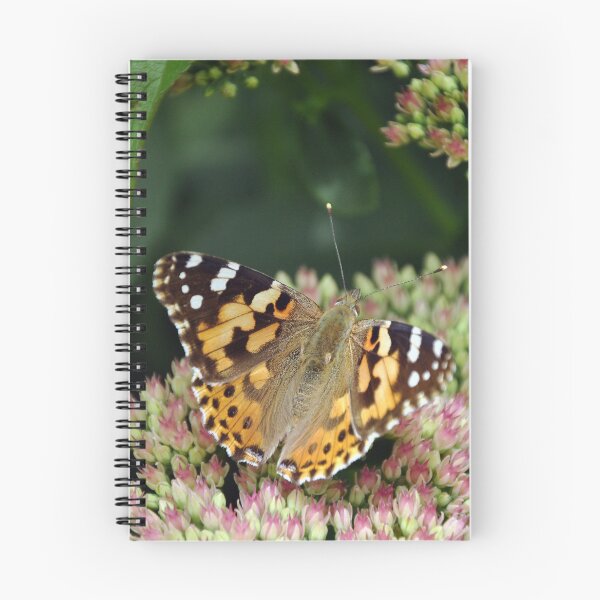 Item preview, Painted Lady  designed and sold by Chris Monks.