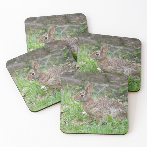 Item preview, Cotton Tail in Front Yard designed and sold by Perspective Wings.