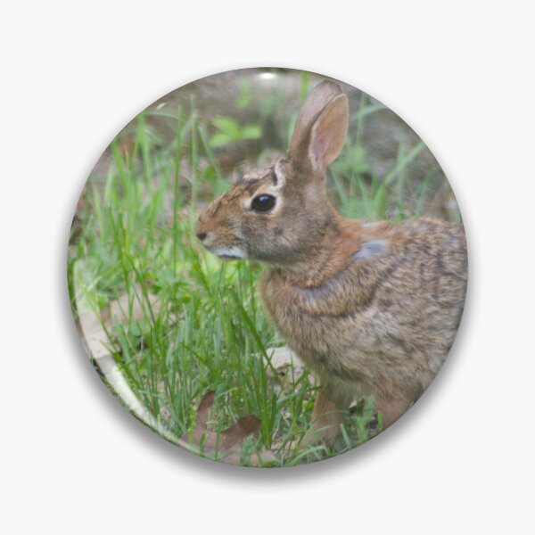 Item preview, Cotton Tail in Front Yard designed and sold by Perspective Wings.