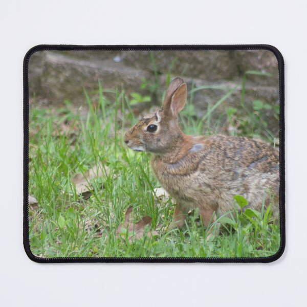 Item preview, Cotton Tail in Front Yard designed and sold by Perspective Wings.