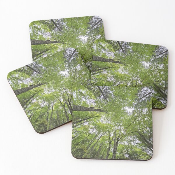 Item preview,     Looking Up Through the Forest Canopy designed and sold by DiaSinama.