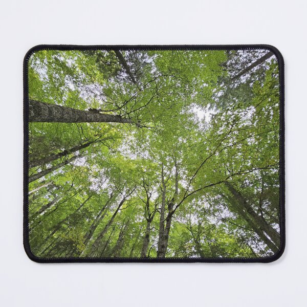 Item preview, Looking Up Through the Forest Canopy designed and sold by DiaSinama.