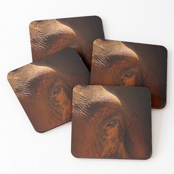 Item preview, Asian Elephant Close Up Face designed and sold by Aniles.