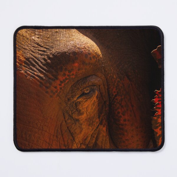 Item preview, Asian Elephant Close Up Face designed and sold by Aniles.