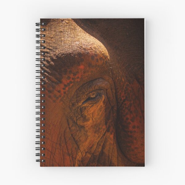 Item preview, Asian Elephant Close Up Face designed and sold by Aniles.