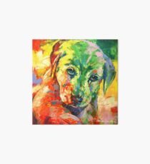 Labrador Puppy Art Board
