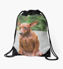 Outdoor portrait of a red miniature pinscher dog Drawstring Bag