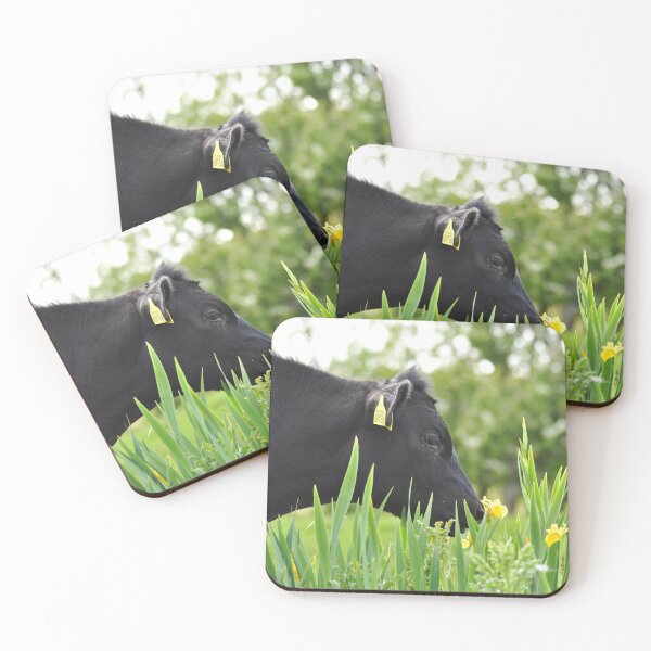 Item preview, Black Cow Among Yellow Iris Flowers designed and sold by Shanguai.