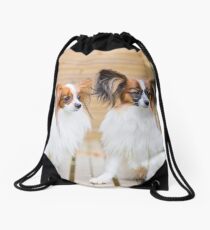 Outdoor portrait of a papillon purebreed dogs Drawstring Bag