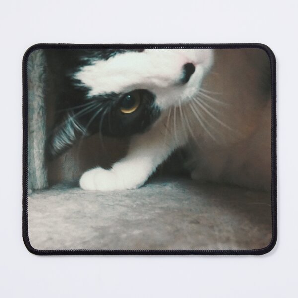 Item preview, Tuxedo cat soft kitty designed and sold by Maddshopp.