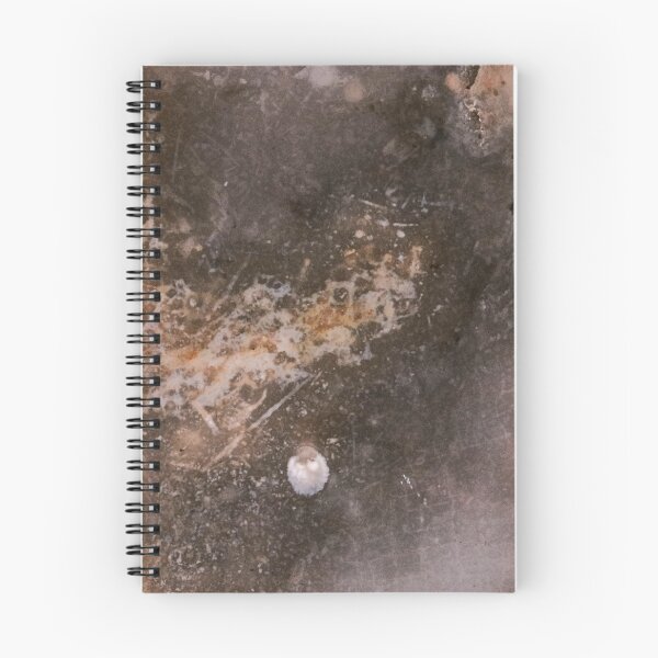 Item preview, Cretaceous Sponge designed and sold by geologyjohnson.