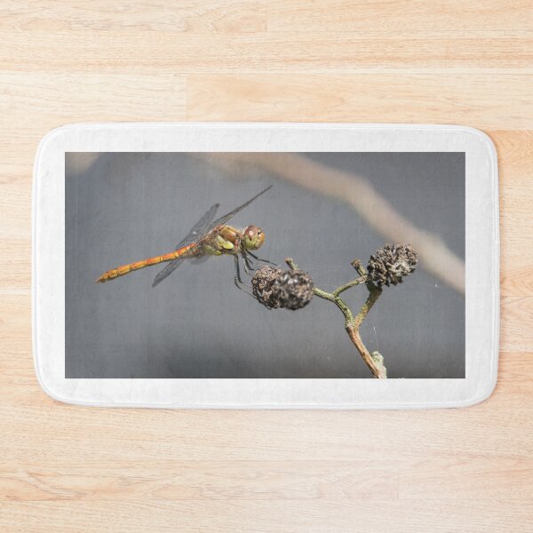 Item preview, Common Darter designed and sold by LaurenTucker.