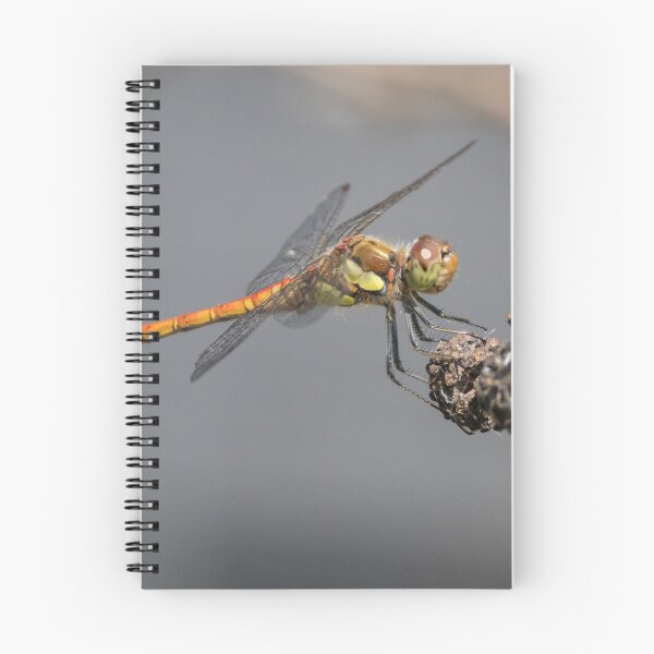 Item preview, Common Darter designed and sold by LaurenTucker.
